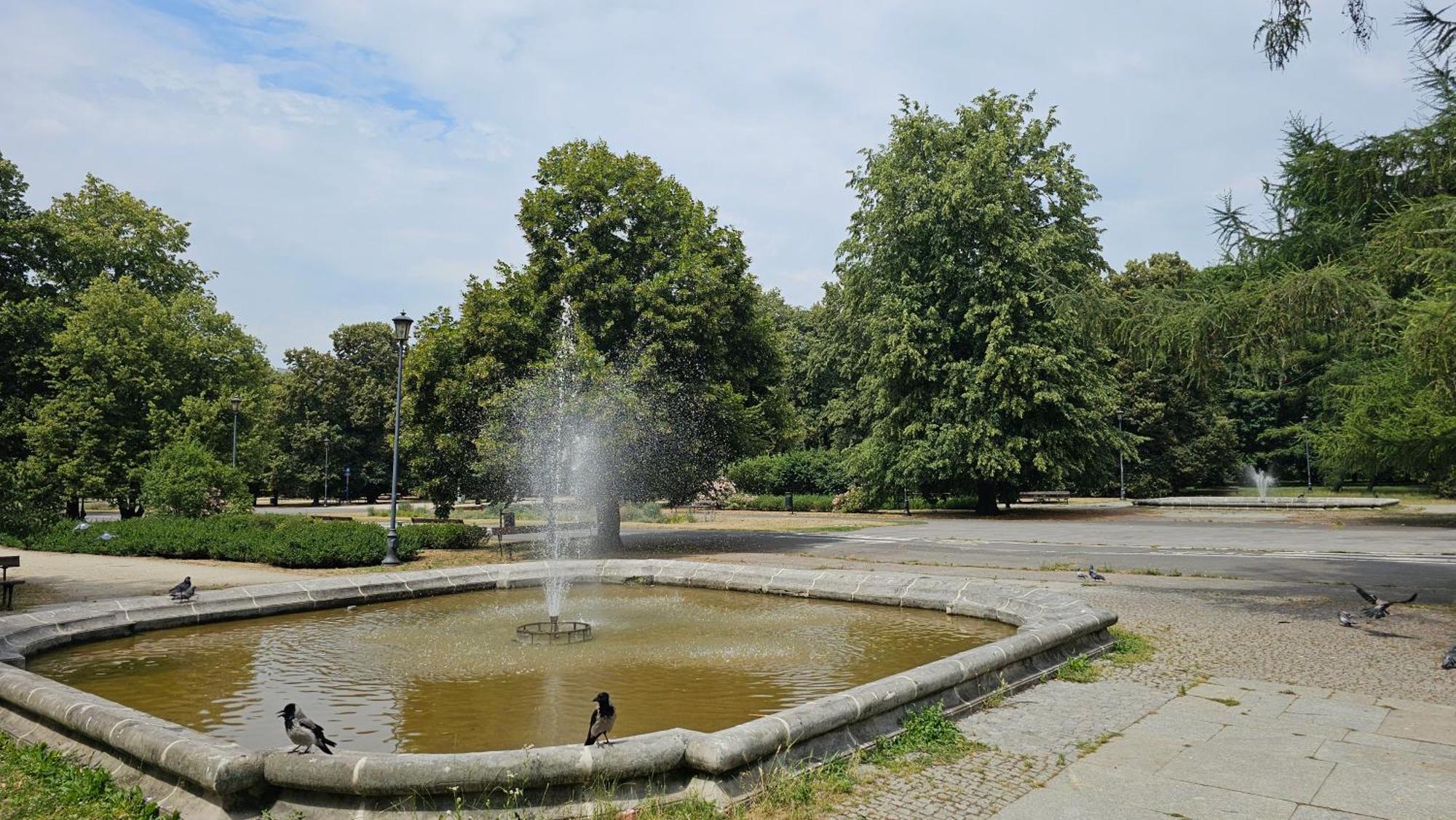 Butas Park Powisle *